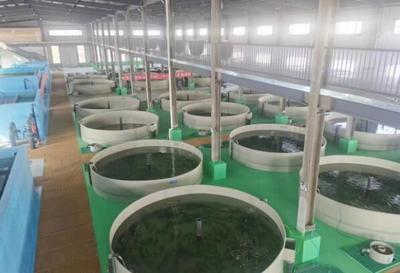 贺兰县“金融活水”助力适水产业高质量发展