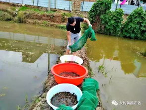 大河水产养殖基地成贵州安顺市 菜单式 精准扶贫典范