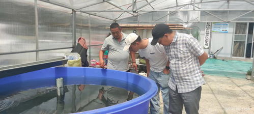 浙江温州文成县邀请省市水产专家指导生态水产养殖